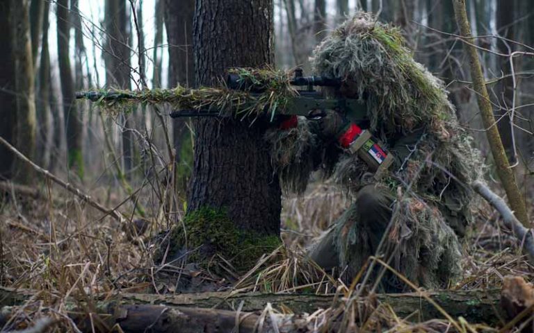 Can an Airsoft Sniper Rifle Kill A Bird [New Research]?