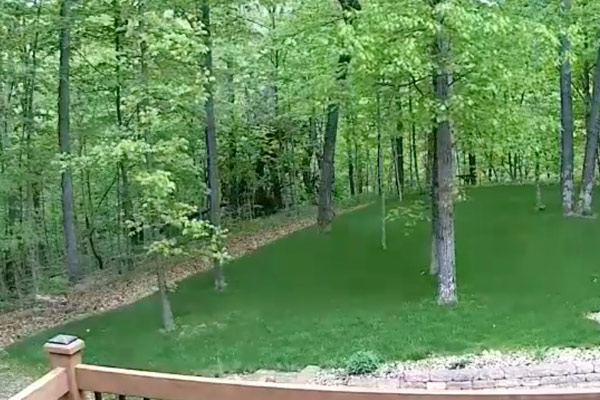 How to Make an Airsoft Field in Your Backyard