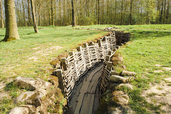 Trenches in yard